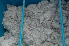 Screenshot_20190612-104922