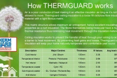Thermguard Short Presentation 3